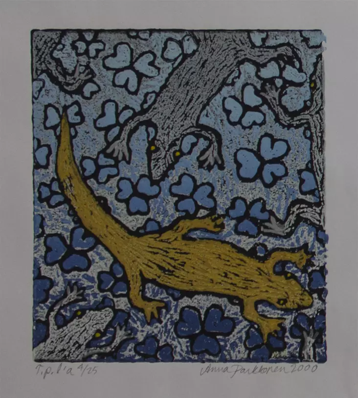 Parkkonen Anna: Erilainen - Pienet vedokset - t6464 - 1