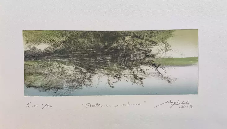 Pitko Marjo: Poeettinen maisema (5) - Keskisuuret vedokset - t11874 - 1