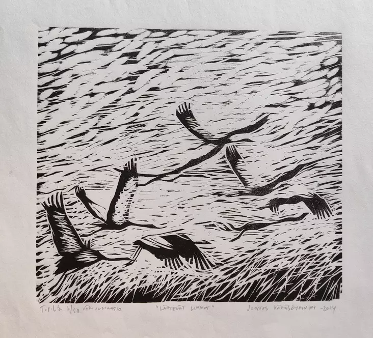 Vähäsöyrinki Joonas: Lähtevät linnut - Keskisuuret vedokset - t12054 - 1