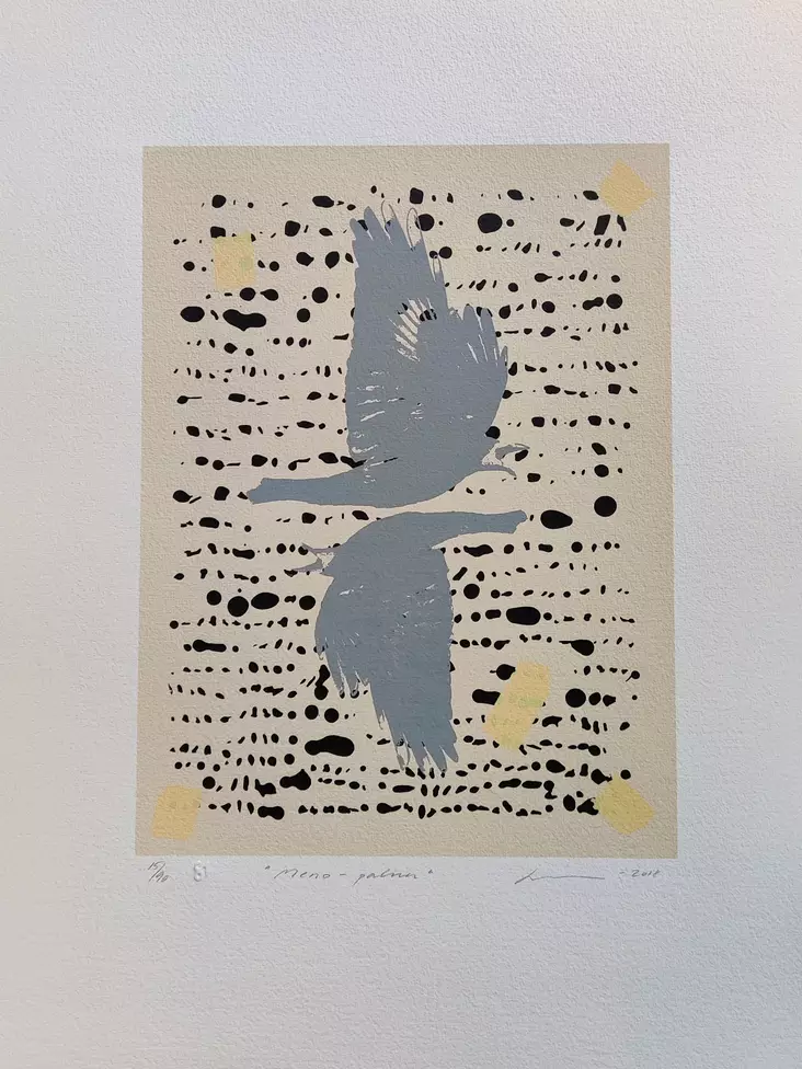 Virve Lilja: Meno-paluu - Keskisuuret vedokset - t11914 - 1