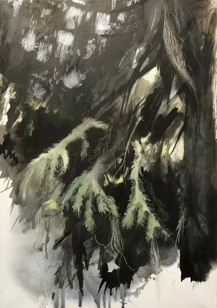 Pisilä Heta: Suoja - Pisilä Heta - t12395 - 1