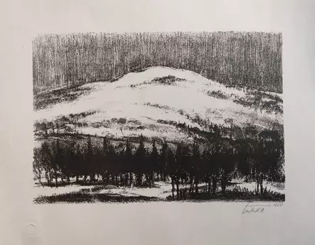 Tuhka Aukusti: Tunturi - Keskisuuret vedokset - T11575 - 1