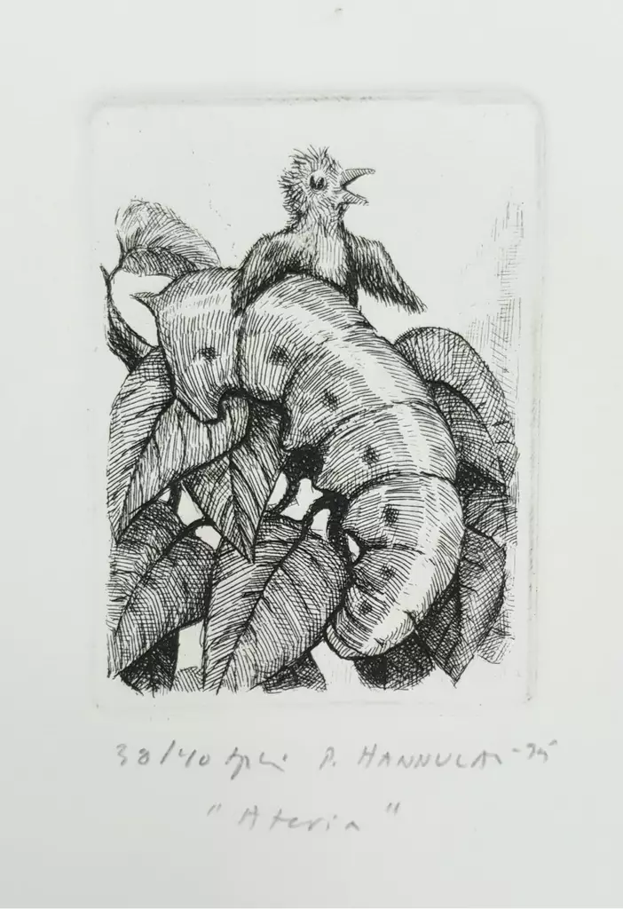 Hannula Pekka: Ateria - Pienet vedokset - t9985 - 1