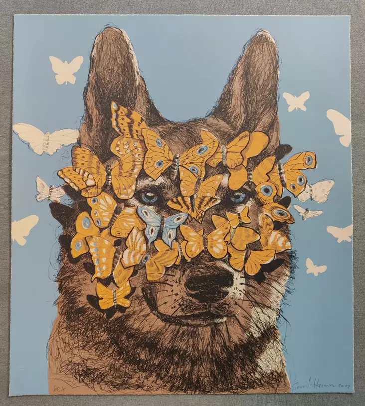 Heimonen Samuli: Rex - Keskisuuret vedokset - t11745 - 1