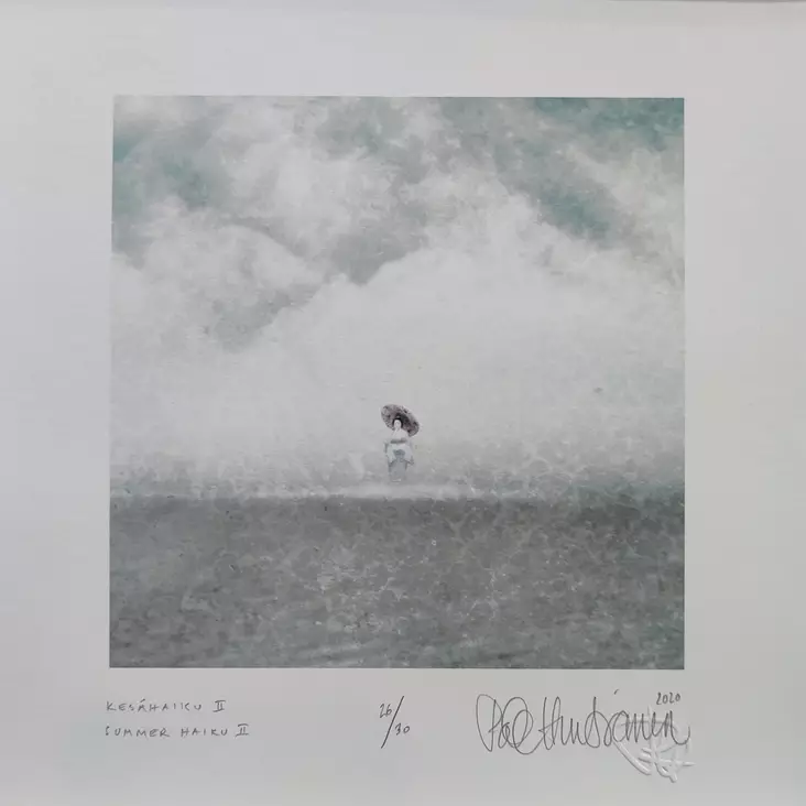 Hintsanen Päivi: Ihmisiä saarillaan: Kesähaiku II - Pienet vedokset - t12265 - 1