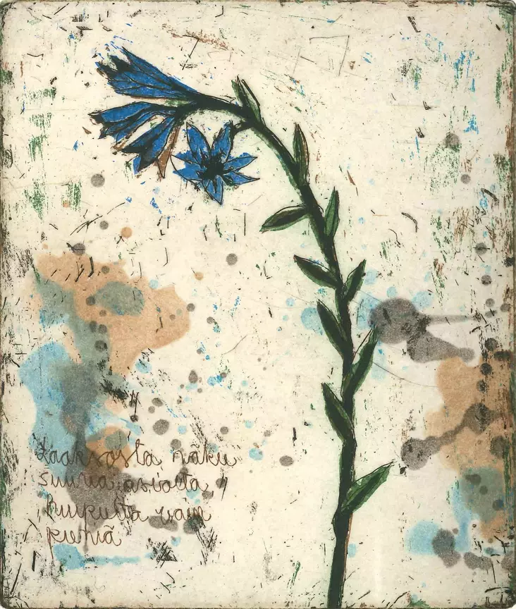 Neuvonen Kirsi: Laaksosta näkee - Pienet vedokset - t10945 - 1