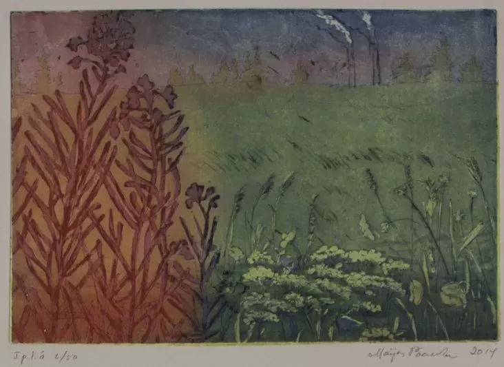 Paavola Maija: Hehkuvat horsmat - Pienet vedokset - t9065 - 1