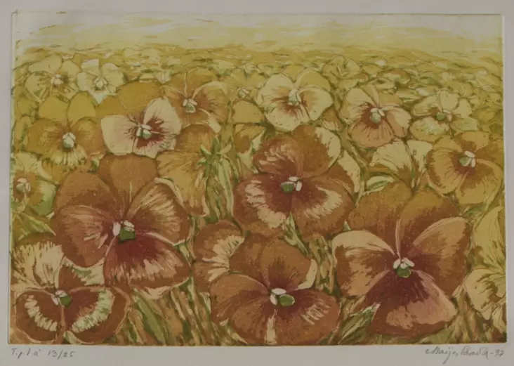 Paavola Maija: Keltainen orvokkimeri - Pienet vedokset - t2745 - 1