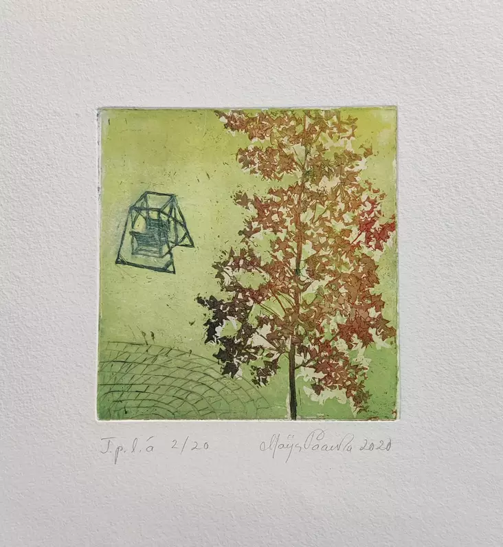 Paavola Maija: Pihakeinu - Pienet vedokset - T11075 - 1