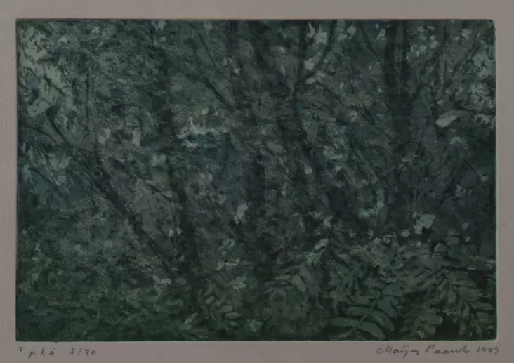 Paavola Maija: Pihlajisto - Pienet vedokset - t7565 - 1