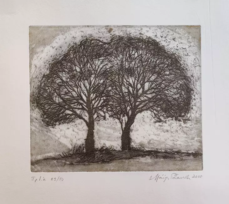 Paavola Maija: Sisaruspuu - Pienet vedokset - T10835 - 1