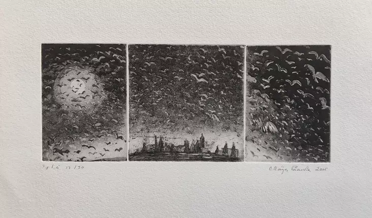 Paavola Maija: Taivas täynnä siipiä - Pienet vedokset - T11415 - 1