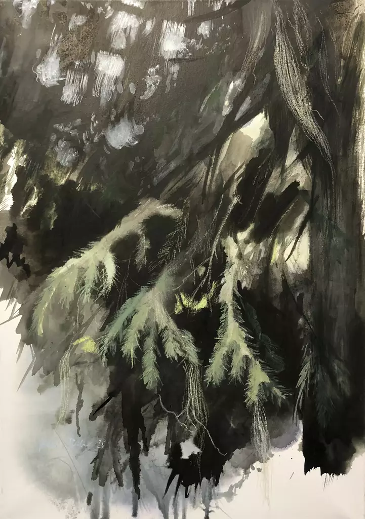 Pisilä Heta: Suoja - Pisilä Heta - t12395 - 1