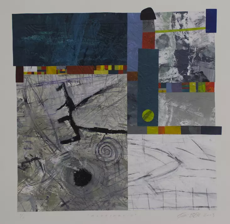 Södö Kari: Alucinatio - Keskisuuret vedokset - t5385 - 1