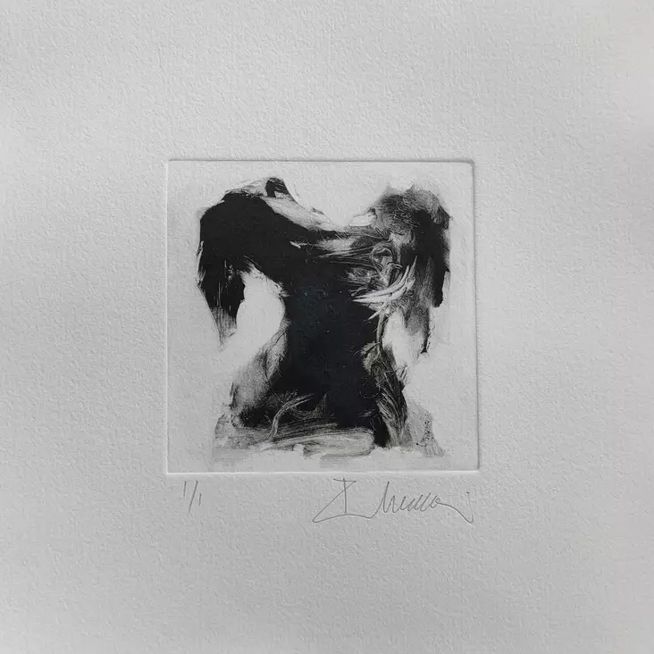 Soininen Riikka - Pienet vedokset - T11895 - 1