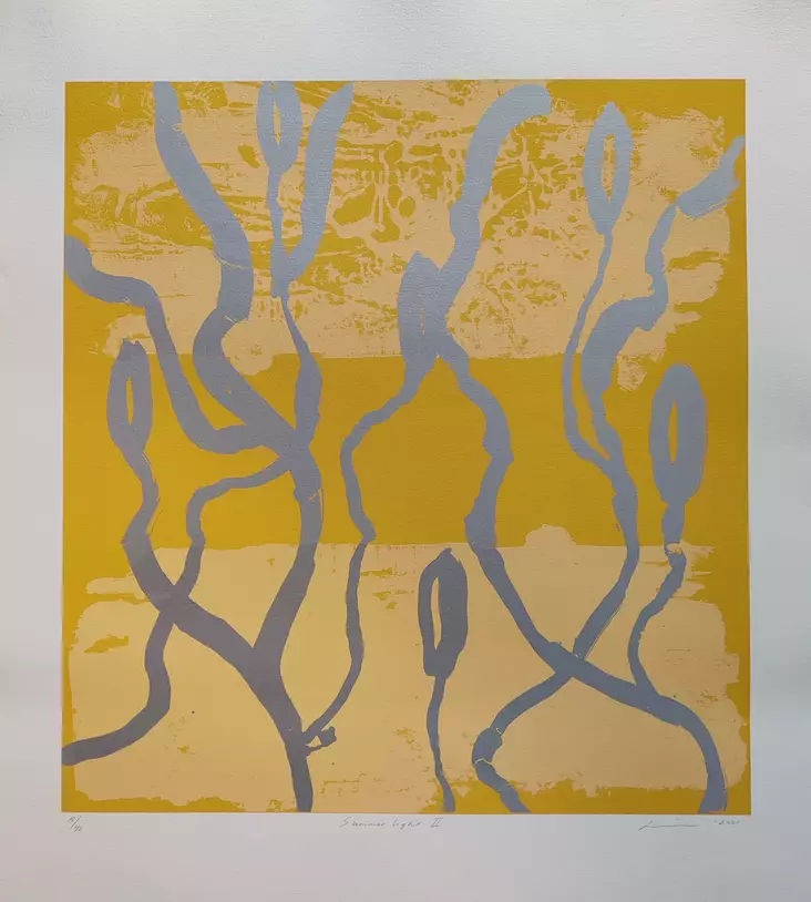 Virve Lilja: Summerlight II - Suuret vedokset - t11925 - 1