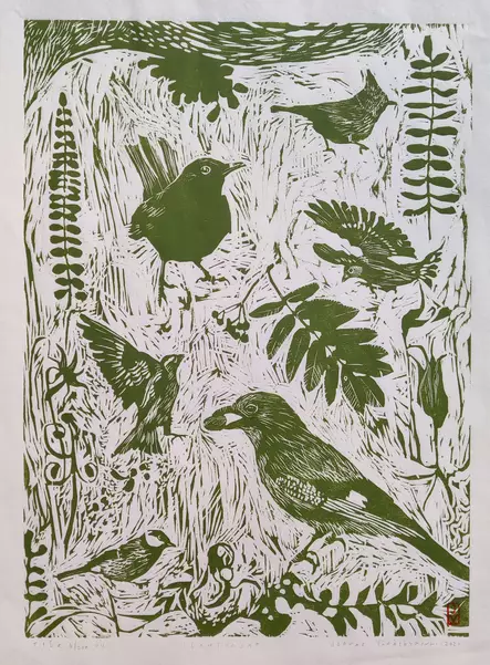 Vähäsöyrinki Joonas: Ilon tuojat - Keskisuuret vedokset - t12056 - 1