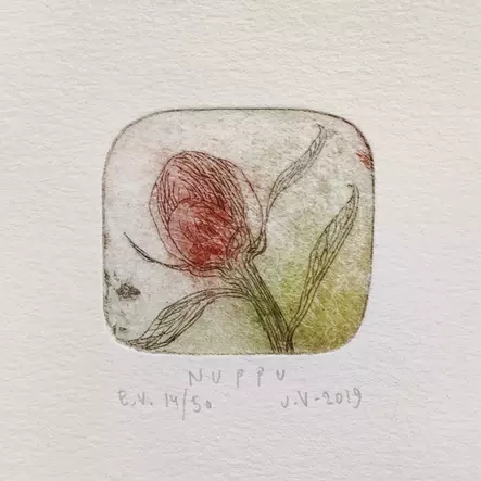 Vähäsöyrinki Joonas: Nuppu - Pienet vedokset - t11406 - 1