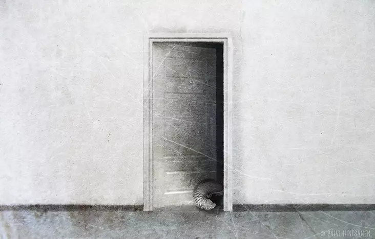 Hintsanen Päivi: Muisto meren rannalta - Keskisuuret vedokset - t10546 - 1