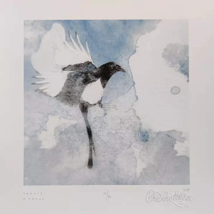 Hintsanen Päivi: Tuokiokuvia: Saalis - Pienet vedokset - t11716 - 1