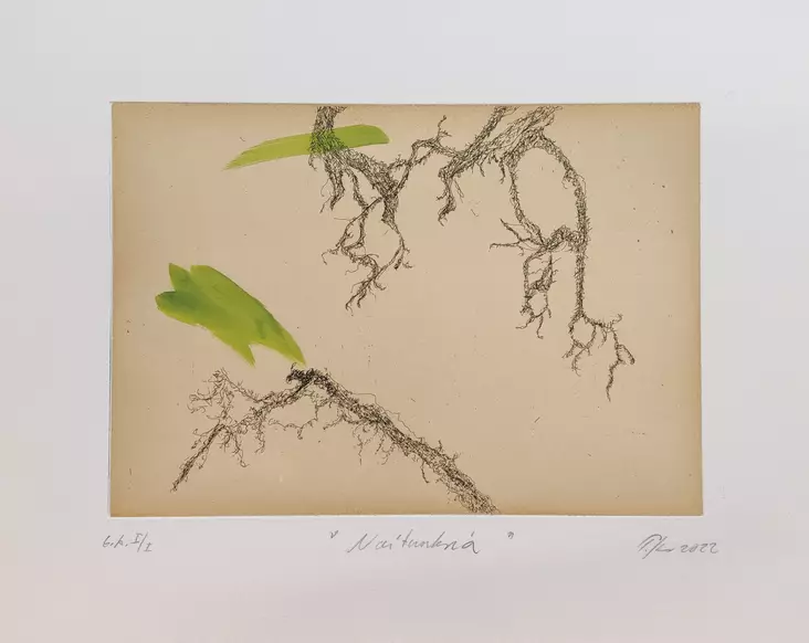 Kivinen Tiina: Noituuksia - Pienet vedokset - t12176 - 1