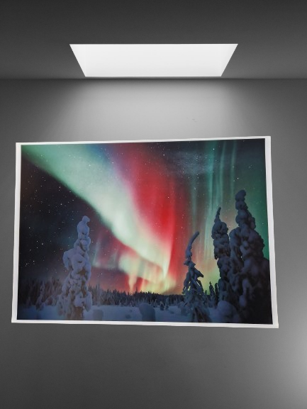 Luhta Jorma: 8 - Keskisuuret vedokset - T7806 - 1