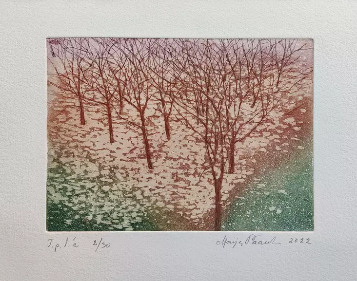 Paavola Maija: Ensilumi - Pienet vedokset - T11556 - 1