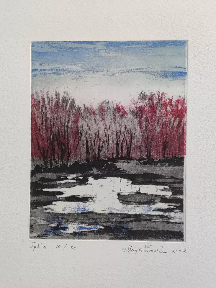 Paavola Maija: Kevään peili - Pienet vedokset - t12026 - 1