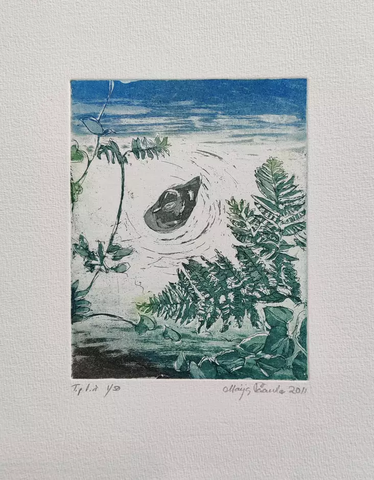 Paavola Maija: Sorsanpoikanen - Pienet vedokset - T10206 - 1