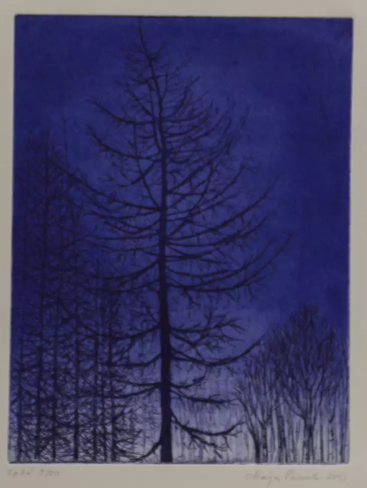 Paavola Maija: Sudenhetki - Pienet vedokset - t7576 - 1