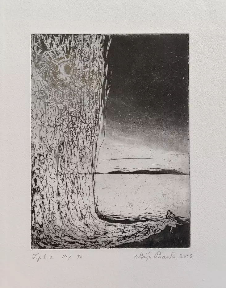 Paavola Maija: Virkkaaja - Pienet vedokset - T10836 - 1