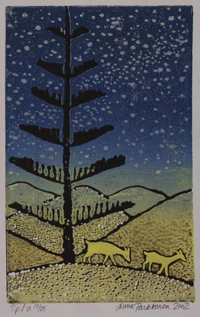 Parkkonen Anna: Maailmalle - Pienet vedokset - t7166 - 1