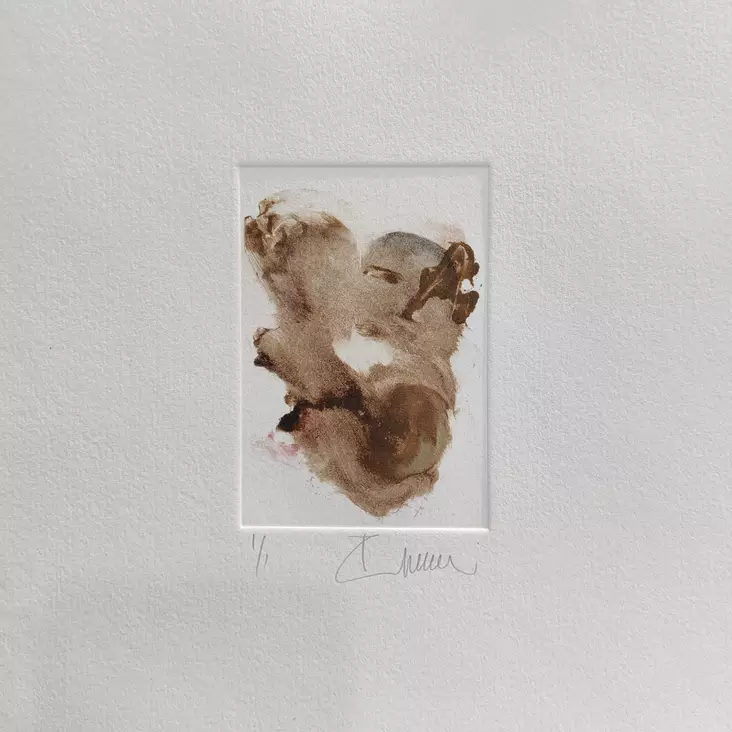 Soininen Riikka - Pienet vedokset - T11886 - 1