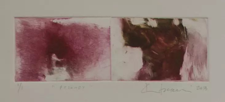 Soininen Riikka: Pysähdy - Pienet vedokset - t9366 - 1