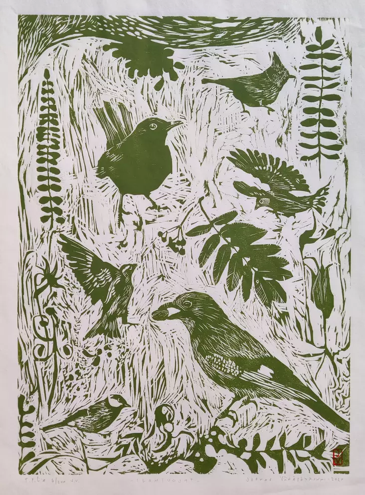 Vähäsöyrinki Joonas: Ilon tuojat - Keskisuuret vedokset - t12056 - 1