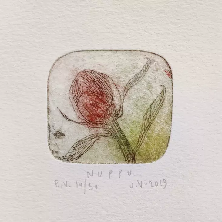 Vähäsöyrinki Joonas: Nuppu - Pienet vedokset - t11406 - 1