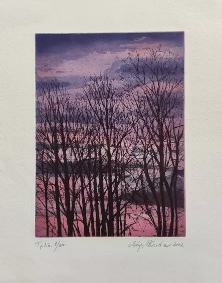 Paavola Maija: Talvivaloa - Pienet vedokset - T10207 - 1