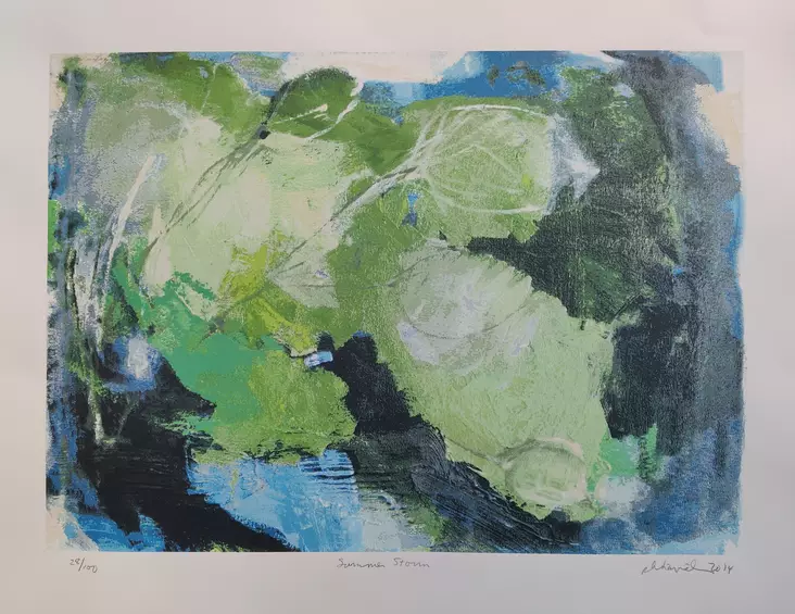 Hämäläinen Patricia: Summer Storm - Keskisuuret vedokset - T10407 - 1