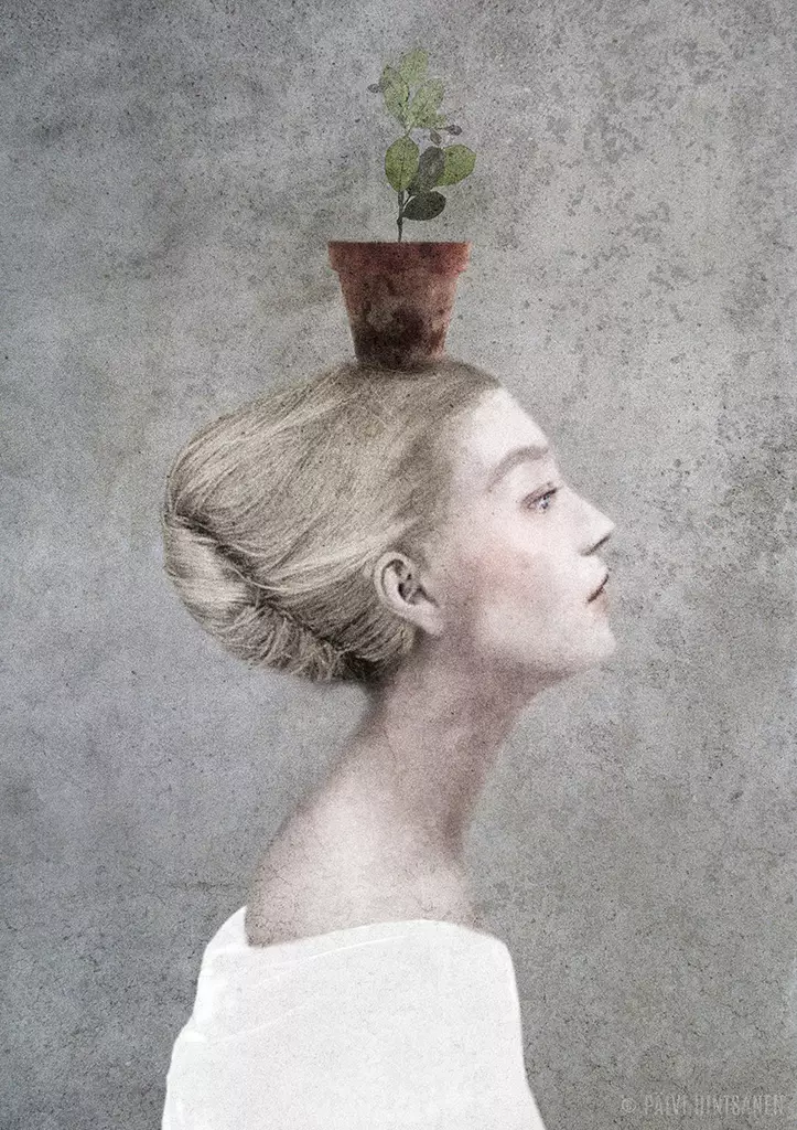 Hintsanen Päivi: Ancienne noblesse: St. Helenan perijätär - Keskisuuret vedokset - t11987 - 1