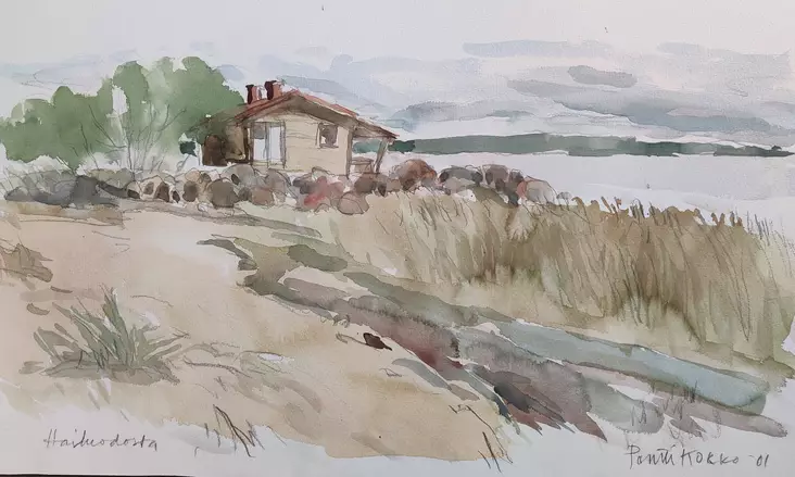 Kokko Pentti: Hailuodosta - Keskisuuret vedokset - t2837 - 1