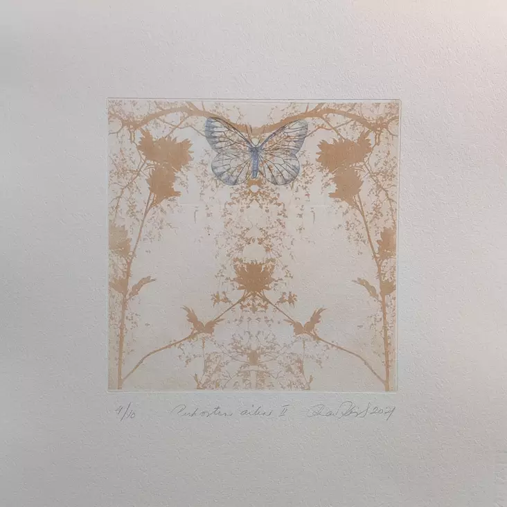 Korppila Raija: Perhosten aika II - Pienet vedokset - t11427 - 1