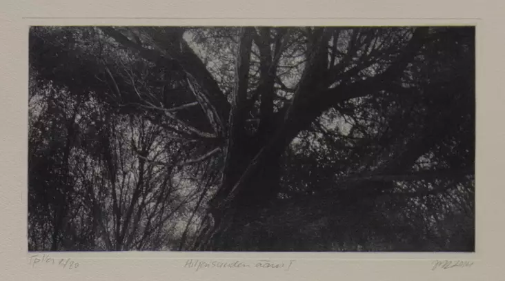 Laakso Juha: Hiljaisuuden ääni I - Pienet vedokset - t9997 - 1