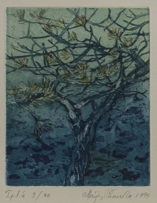 Paavola Maija: Bonzaimänty - Pienet vedokset - t9867 - 1