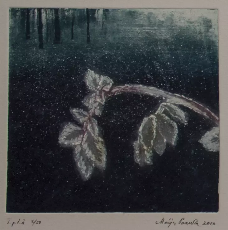 Paavola Maija: Jäässä - Pienet vedokset - t7567 - 1