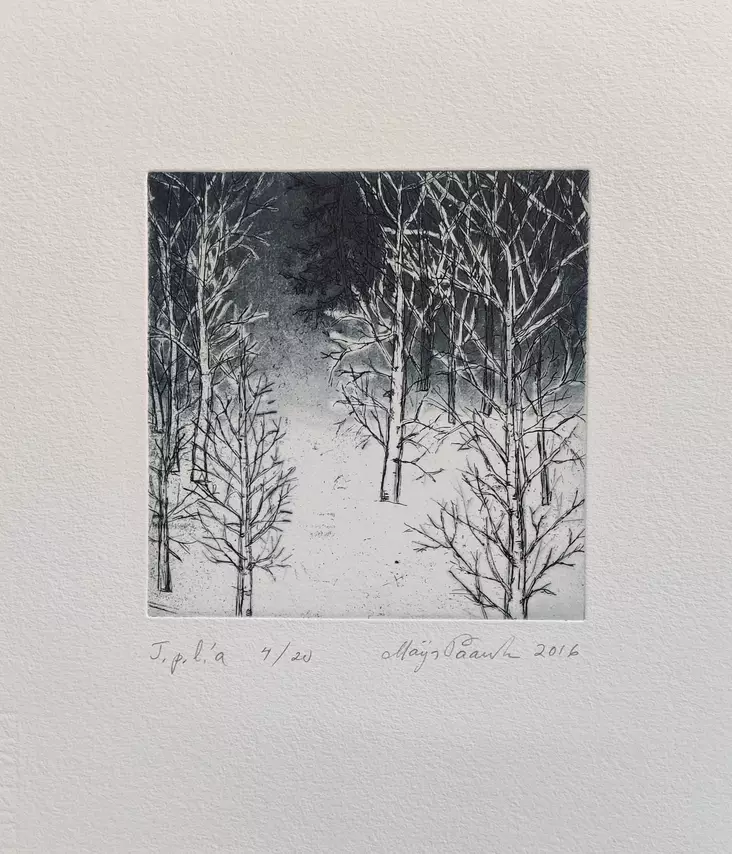 Paavola Maija: Paljon lunta - Pienet vedokset - T11557 - 1