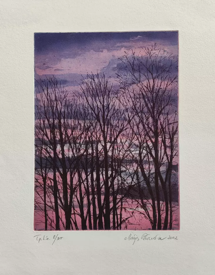 Paavola Maija: Talvivaloa - Pienet vedokset - T10207 - 1