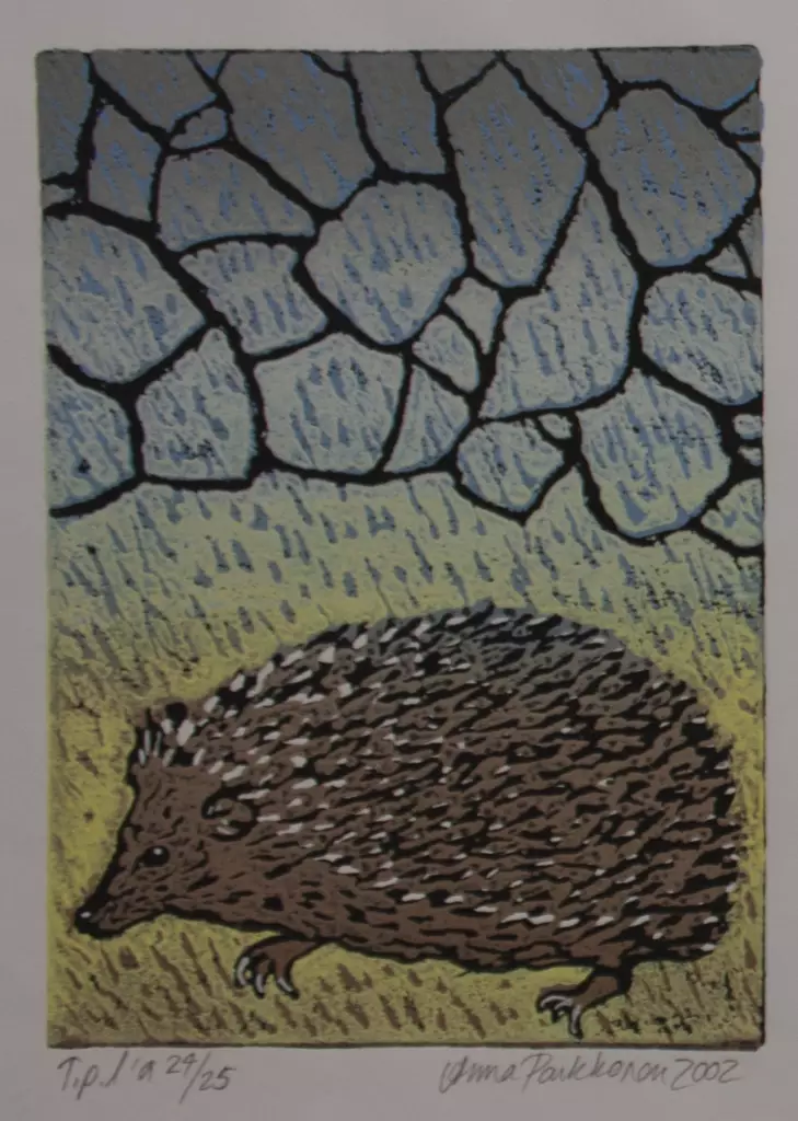 Parkkonen Anna: Siili tihkusateessa - Pienet vedokset - t7167 - 1