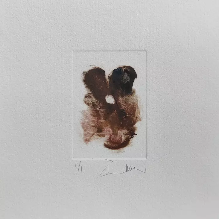 Soininen Riikka - Pienet vedokset - T11887 - 1