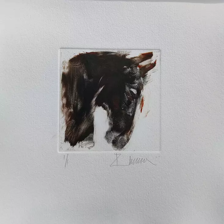 Soininen Riikka - Pienet vedokset - T11897 - 1