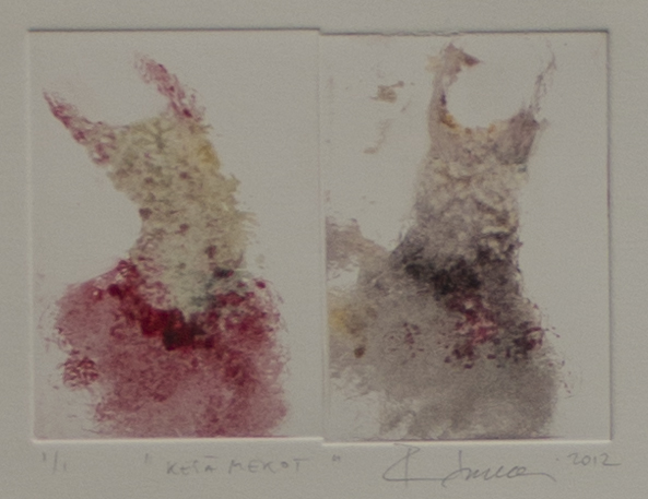 Soininen Riikka: Kesämekot - Pienet vedokset - t8397 - 1